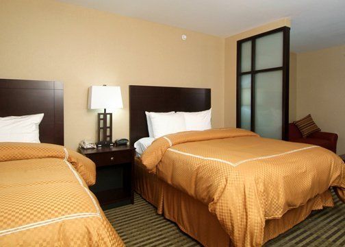 Holiday Inn Express & Suites Elkton - University Area, An Ihg Hotel חדר תמונה
